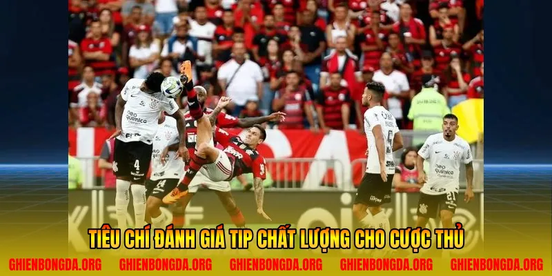 Tiêu chí đánh giá tip chất lượng cho cược thủ