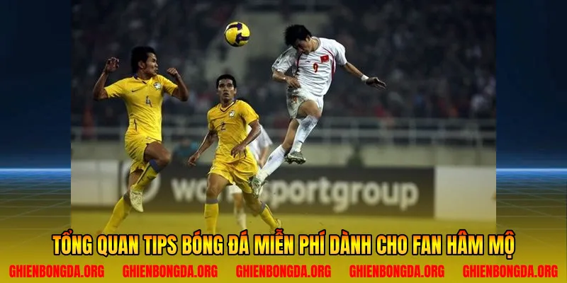 Tổng quan tips bóng đá miễn phí dành cho fan hâm mộ