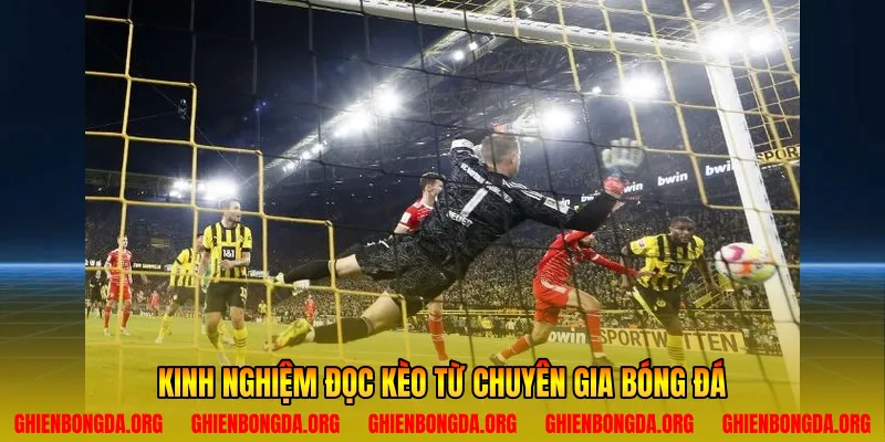 Kinh nghiệm đọc kèo từ chuyên gia bóng đá
