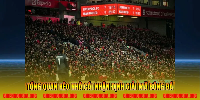 Tổng quan kèo nhà cái nhận định giải mã bóng đá